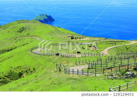 [Shimane Prefecture] A clear view from Akahageyama Observatory (Chiburi Island, Oki Islands) 129129453