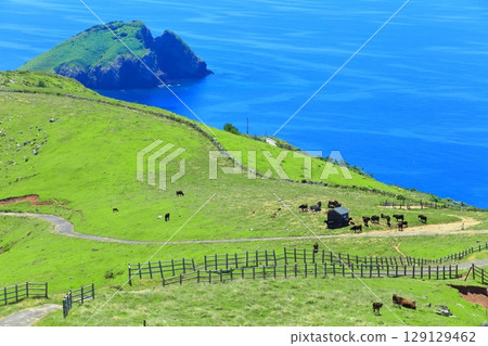 [Shimane Prefecture] A clear view from Akahageyama Observatory (Chiburi Island, Oki Islands) 129129462