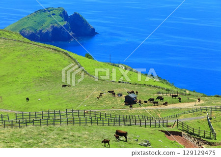 [Shimane Prefecture] A clear view from Akahageyama Observatory (Chiburi Island, Oki Islands) 129129475