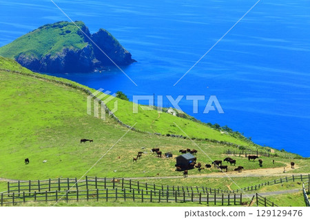 [島根縣]從赤羽山展望台看到的清晰景色（隱岐群島知武里島） 129129476