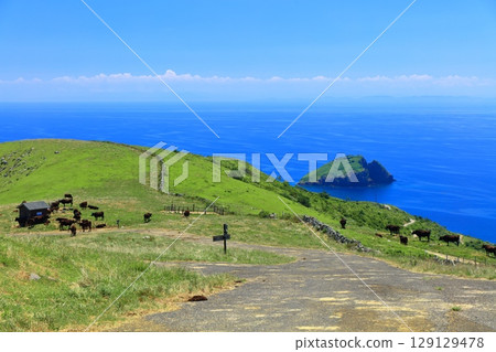 [Shimane Prefecture] A clear view from Akahageyama Observatory (Chiburi Island, Oki Islands) 129129478