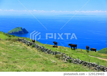 [島根郡]晴天的赤鱗山名籬（隱岐諸島千振島） 129129483