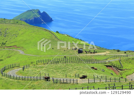 [Shimane Prefecture] A clear view from Akahageyama Observatory (Chiburi Island, Oki Islands) 129129490