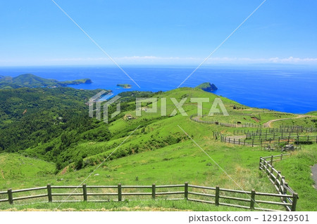 [島根縣]從赤羽山展望台看到的清晰景色（隱岐群島知武里島） 129129501