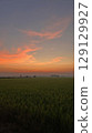 Serene Sunrise Over Lush Green Rice Field with Colorful Clouds and Soft Light Serene Sunrise Over Lush Green Rice Field with Colorful Clouds and Soft Light 129129927