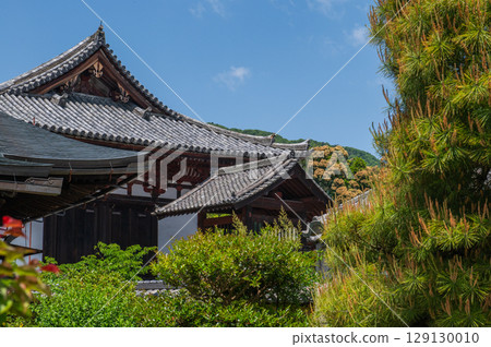 Taima-dera Temple, an ancient temple in Nara Prefecture Taima-dera Temple, an ancient temple in Nara Prefecture 129130010