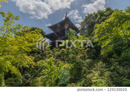 Taima-dera Temple, an ancient temple in Nara Prefecture 129130020