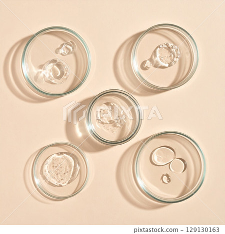 Several Petri Dishes Filled with Clear Liquid in a Laboratory Setting with Soft Lighting 129130163