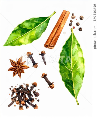 Watercolor Style Various Spices with Cinnamon Stick Star Anise Bayleaf and Cloves Watercolor Style Various Spices with Cinnamon Stick Star Anise Bayleaf and Cloves 129130856