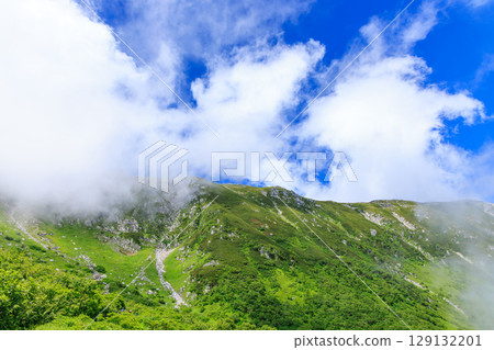 夏季在南阿爾卑斯山和藍天下健行 129132201