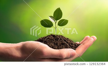 A young green plant growing from rich soil, gently held in a human hand. The vibrant leaves and blurred green background evoke themes of sustainability, new beginnings, and environmental care. 129132364