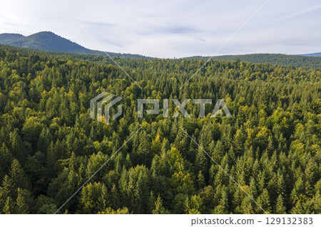 Aerial view of green pine forest with dark spruce trees covering mountain hills. Nothern woodland scenery from above 129132383