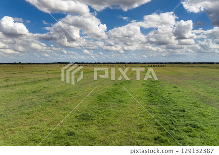 Aerial view of green farm fields in summer season with growing crops. Farming and agriculture industry 129132387