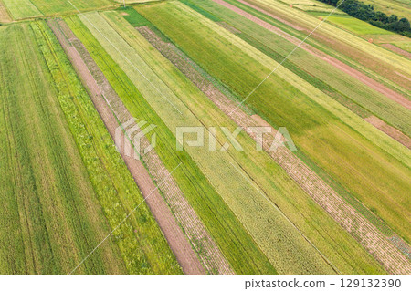 Aerial view of green agriculture fields in spring with fresh vegetation after seeding season. Aerial view of green agriculture fields in spring with fresh vegetation after seeding season. 129132390