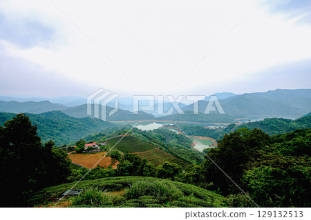 Scenic Foggy Tea Gardens in Shiding District, New Taipei City Taiwan. Scenic Foggy Tea Gardens in Shiding District, New Taipei City Taiwan. 129132513