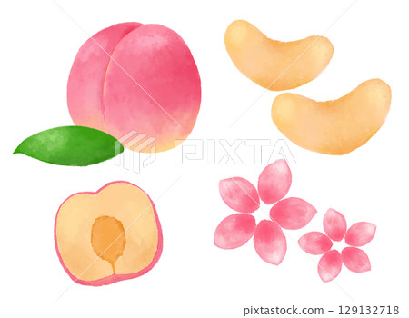 Watercolor-style peach illustration. Fruit design with soft and elegant tones. Perfect for food packaging and miscellaneous goods. 129132718