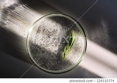 Petri dish with rosemary serum on a white background in the sun with a beautiful shadow.. 129132774