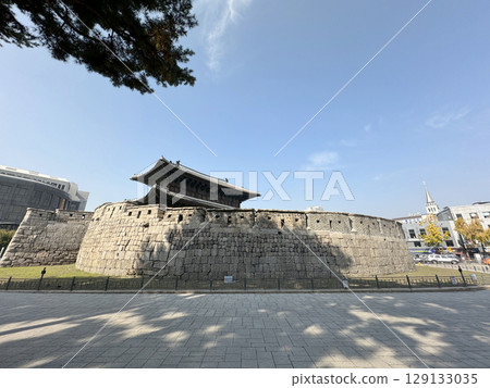 Dongdaemun (Heunginjimun) Dongdaemun (Heunginjimun) 129133035