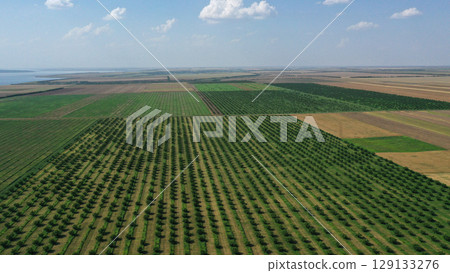 aerial view over agricultural gardens in spring time aerial view over agricultural gardens in spring time 129133276