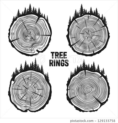 Round tree trunk cuts with trees and forest. Sawn pine or oak slices, lumber. Saw cut timber, wood. Brown wooden texture with tree rings. Hand drawn sketch. Vector illustration Round tree trunk cuts with trees and forest. Sawn pine or oak slices, lumber. Saw cut timber, wood. Brown wooden texture with tree rings. Hand drawn sketch. Vector illustration 129133758