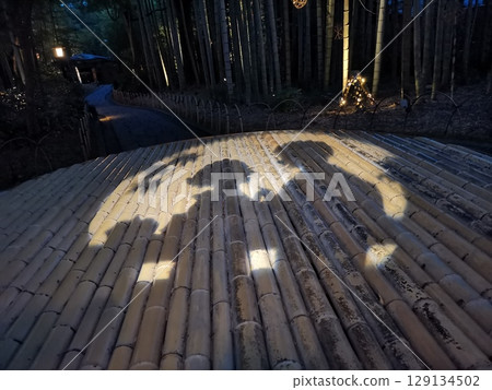 夜晚的修善寺竹林 夜晚的修善寺竹林 129134502