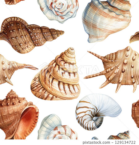 Seamless watercolor pattern with ocean conch spiral seashells in brown beige and white natural beach tones 129134722