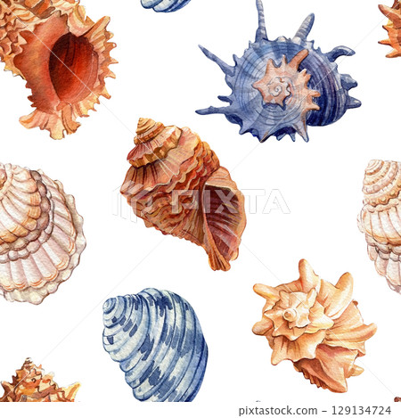 Watercolor seamless pattern with seashells marine spiral conch and ocean shells in orange and blue tones hand painted 129134724