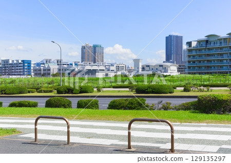 Chiba City, Chiba Prefecture, along Kaihin Odori Avenue July 2025 129135297
