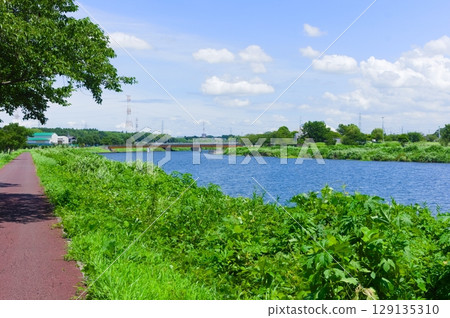 Along the Shinkawa Cycling Road in Yachiyo City, Chiba Prefecture July 2025 129135310