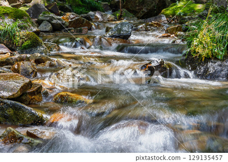 西布澤的清澈海水和野反湖沿岸的健行路線 西布澤的清澈海水和野反湖沿岸的健行路線 129135457
