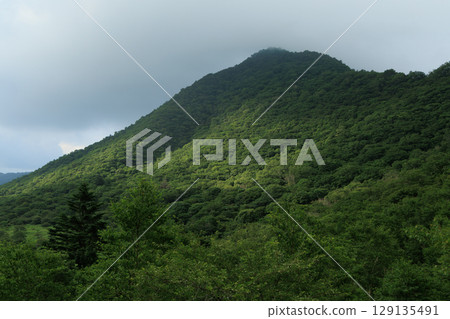 翠綠的山腰與雲霧繚繞的山峰 翠綠的山腰與雲霧繚繞的山峰 129135491