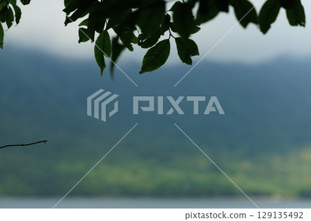 湖對岸的青山綠葉的輪廓 湖對岸的青山綠葉的輪廓 129135492