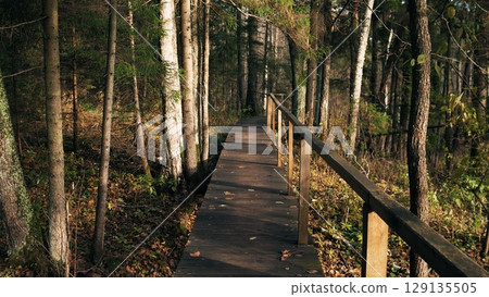 A serene wooden walkway meanders through a lush forest, inviting nature lovers to explore its beauty 129135505