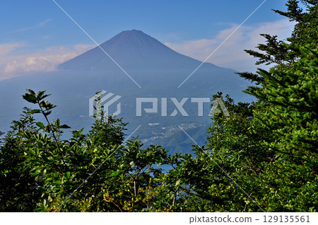 Mt. Fuji in summer as seen from the first observation deck at Shindo Pass on Mount Hafu in the Misaka Mountains Mt. Fuji in summer as seen from the first observation deck at Shindo Pass on Mount Hafu in the Misaka Mountains 129135561