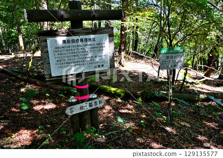 禦坂山 - 黑嶽森林，山梨縣百佳森林之一 129135577
