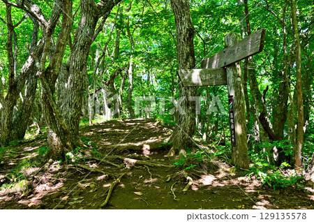 笛吹市健行路線上的御坂山福摩山 笛吹市健行路線上的御坂山福摩山 129135578
