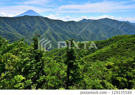 Mount Fuji and the Misaka Mountains in summer, viewed from the summit of Shakagatake 129135588