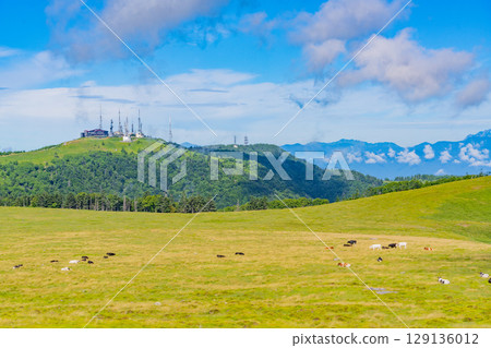 [長野縣] 從美原高原的牛房山眺望雄鹿 129136012