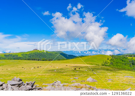 [Nagano Prefecture] View of Ogato from Mt. Ushibuse on the Utsukushigahara Plateau 129136022