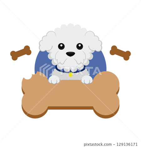 Fluffy bichon on bone badge. Vector Fluffy bichon on bone badge. Vector 129136171