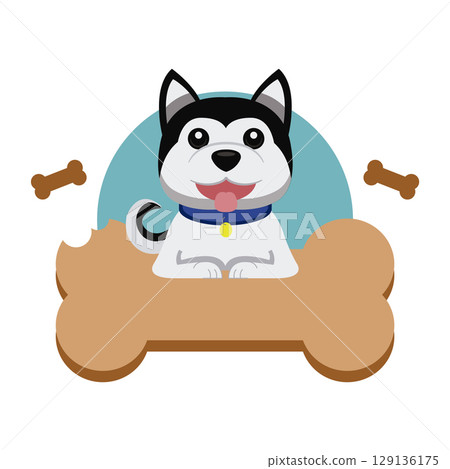 Smiling husky with bone icon. Vector 129136175