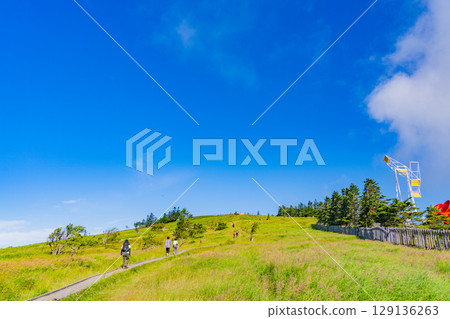 [Nagano Prefecture] People walking along the Ushibuseyama Promenade in the Utsukushigahara Plateau 129136263