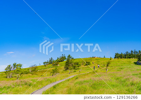 [Nagano Prefecture] People walking along the Ushibuseyama Promenade in the Utsukushigahara Plateau 129136266