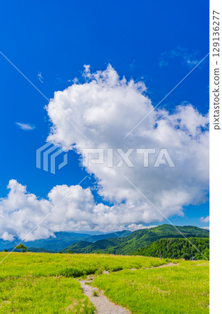 【長野縣】美原高原牛伏山散步道上的人們 【長野縣】美原高原牛伏山散步道上的人們 129136277