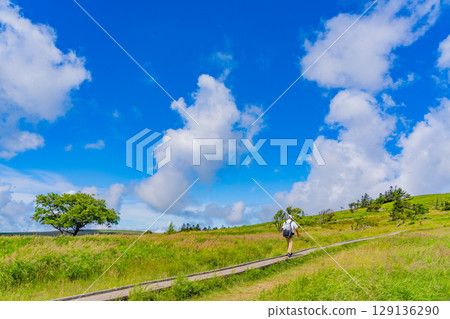 [Nagano Prefecture] People walking along the Ushibuseyama Promenade in the Utsukushigahara Plateau 129136290