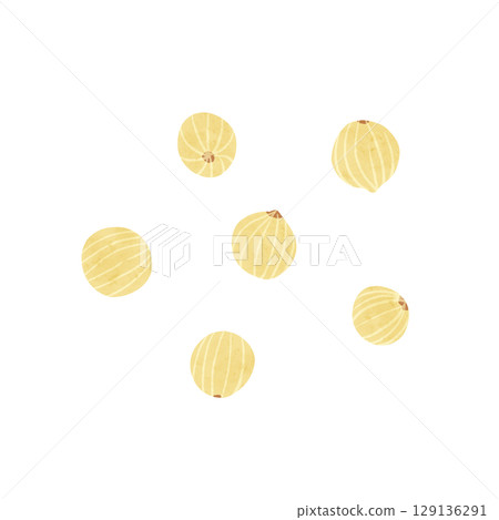 白胡椒水彩手繪插畫 129136291