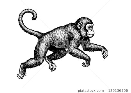 Playful vector illustration of a monkey in motion, ideal for energetic and fun animal themes. 129136306