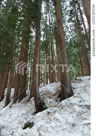 25330 秋山町前倉, 傑都 129136456