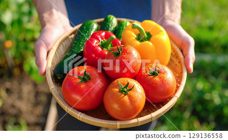 Man with summer vegetables 129136558