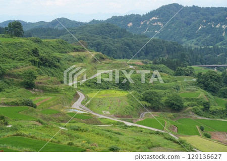 四日村梯田　 129136627